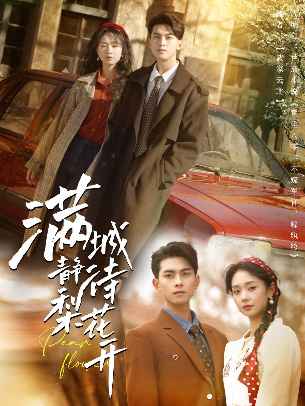 满城静待梨花开