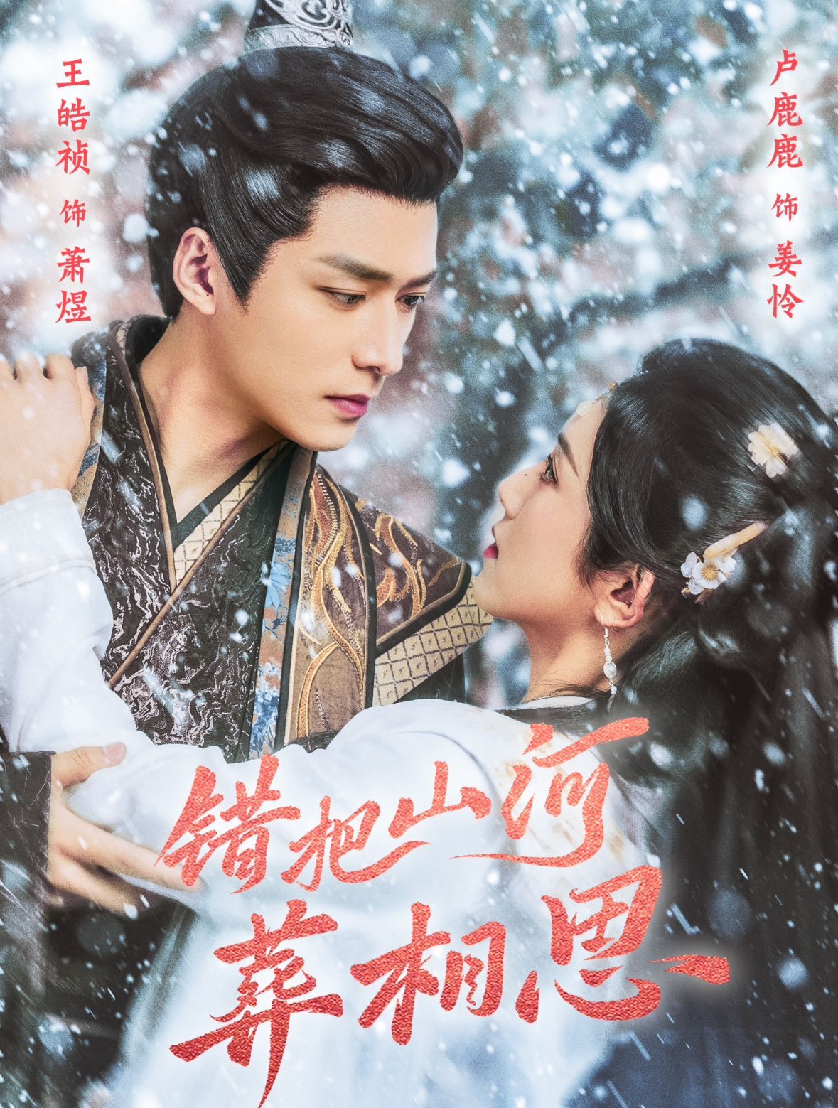 错把山河葬相思