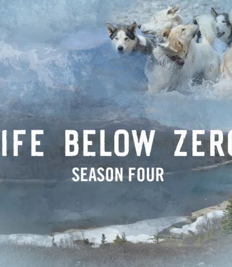 零度以下的生活第四季